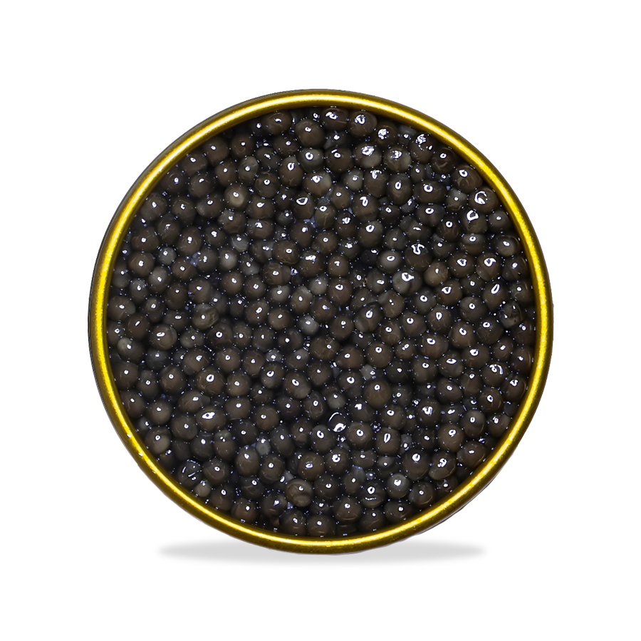 osetra_open-frontaal